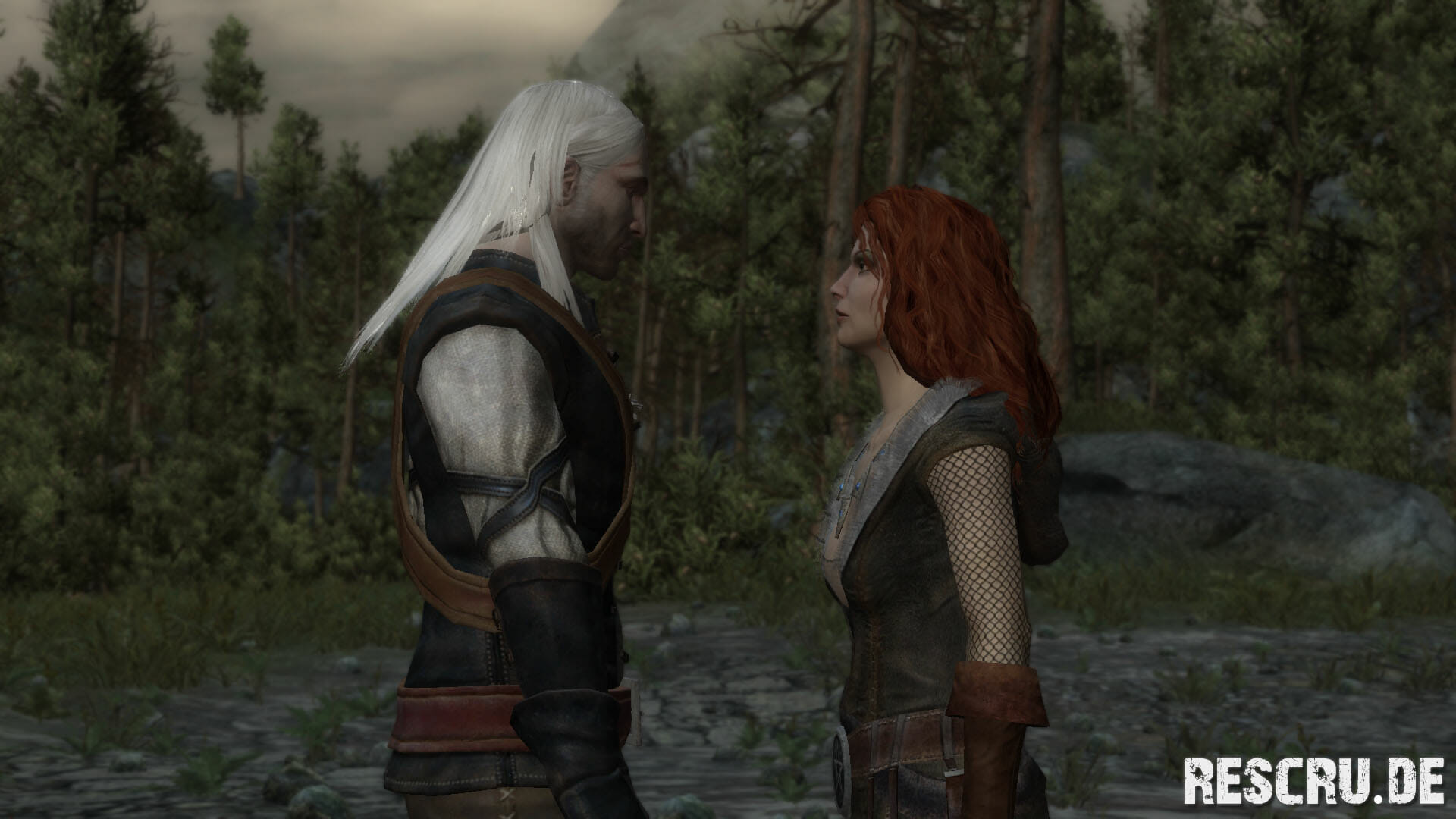 The Witcher 09